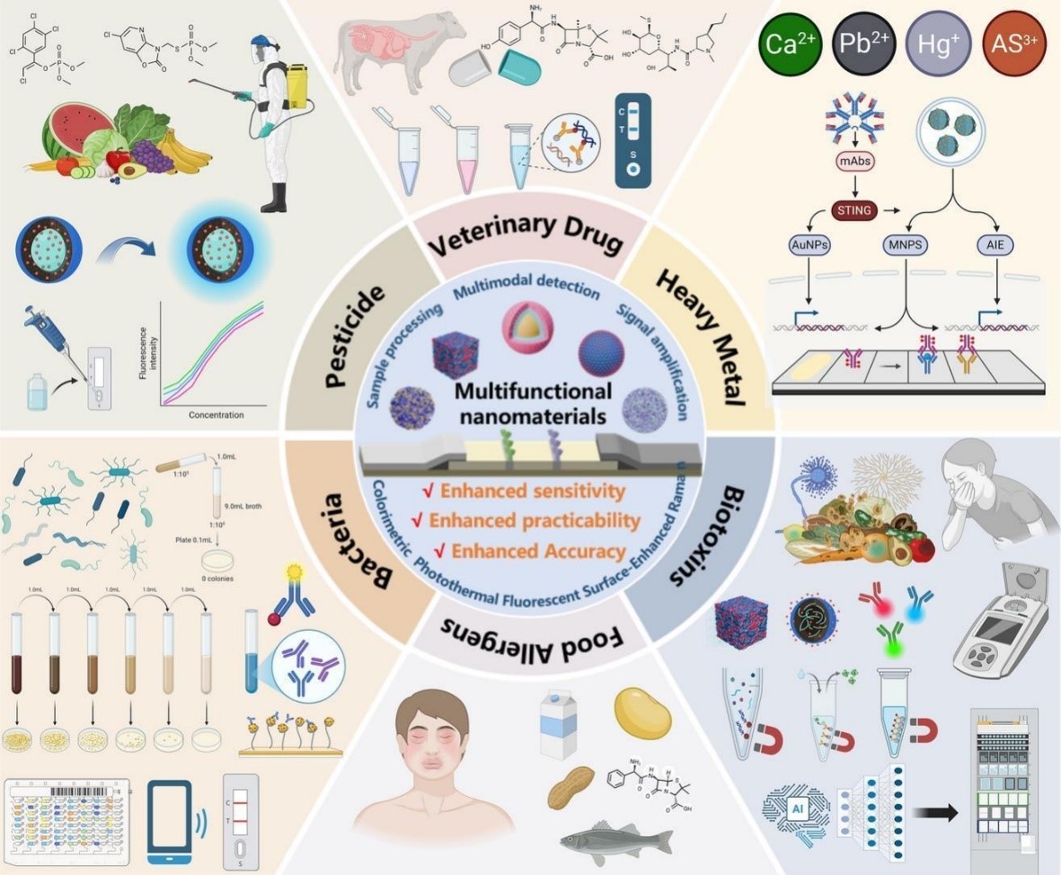 基于MFNs -LFIA的生物標(biāo)記物檢測(cè)示意圖：在多種食品污染物中的應(yīng)用