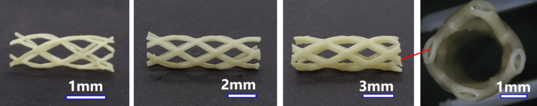 華東師范大學(xué)研制的中空可降解水凝膠心血管支架